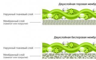Биологическая мембрана: функции и строение